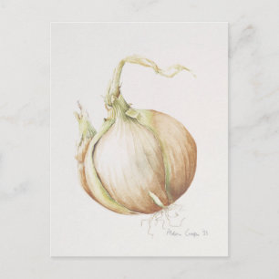 Onion Study 1993 Postcard