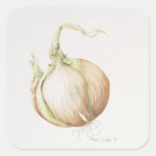 Onion Study 1993 Square Sticker