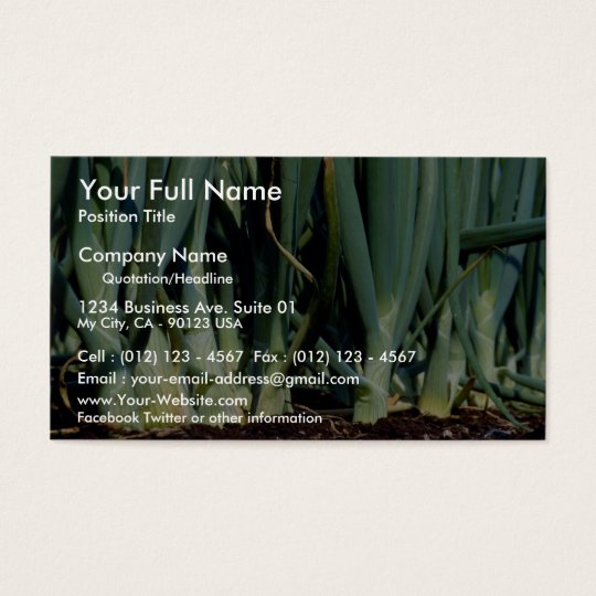 Onions, Grand Bend, Ontario, Canada Business Card