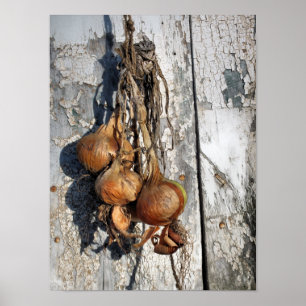 ONIONS POSTER