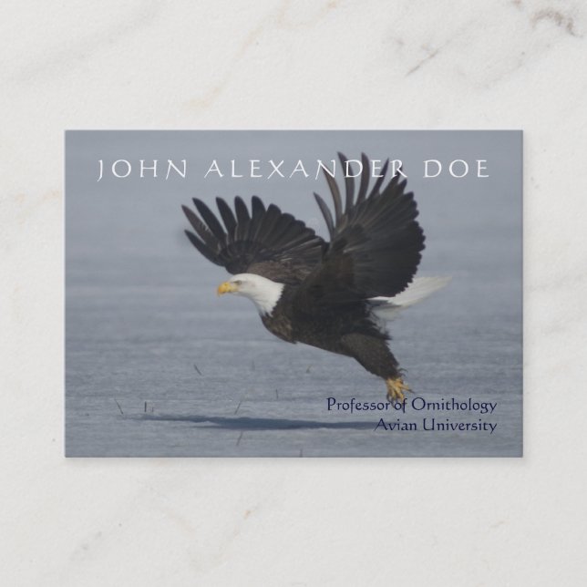 Onithologist - Ornithology Professor - Two Sided Business Card (Front)