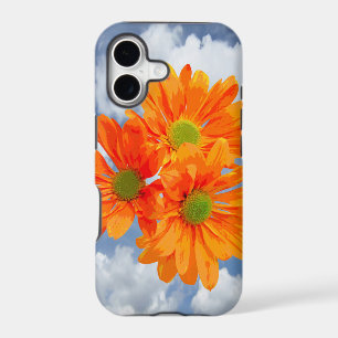 Only 3 Gerbera Daisy Blossoms + your text & ideas