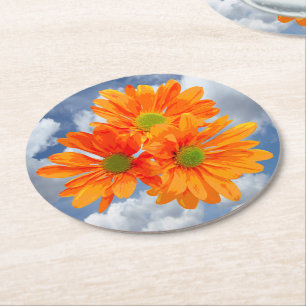 Only 3 Gerbera Daisy Blossoms + your text & ideas Round Paper Coaster