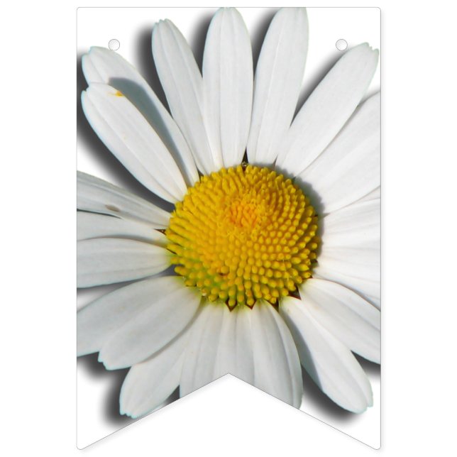 Only a Marguerite Blossom + your backgr. & ideas Bunting (First Flag)