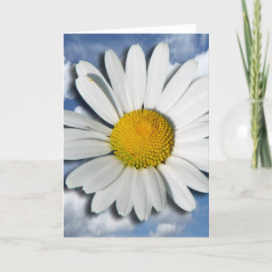 Only a Marguerite Blossom + your text & ideas Card