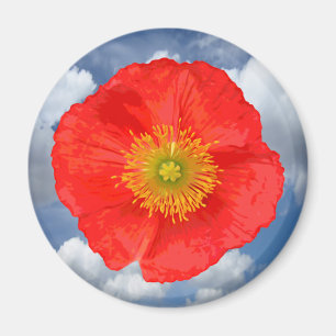 Only a Poppy Blossom + your text & ideas Magnet