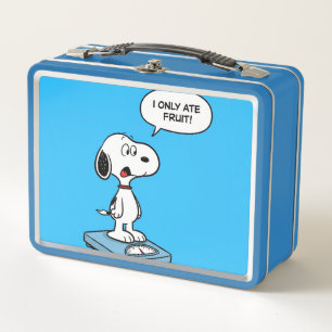 Only Ate Fruits!, by Natasha Us Metal Lunch Box