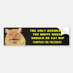 Only Bush In White House ...Pumpkin for President Bumper Sticker