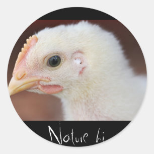only chick classic round sticker