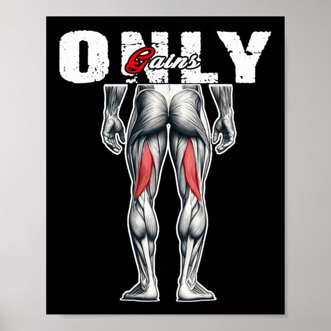 Only Gains Bodybuilding Workout Gym4  Poster (Front)