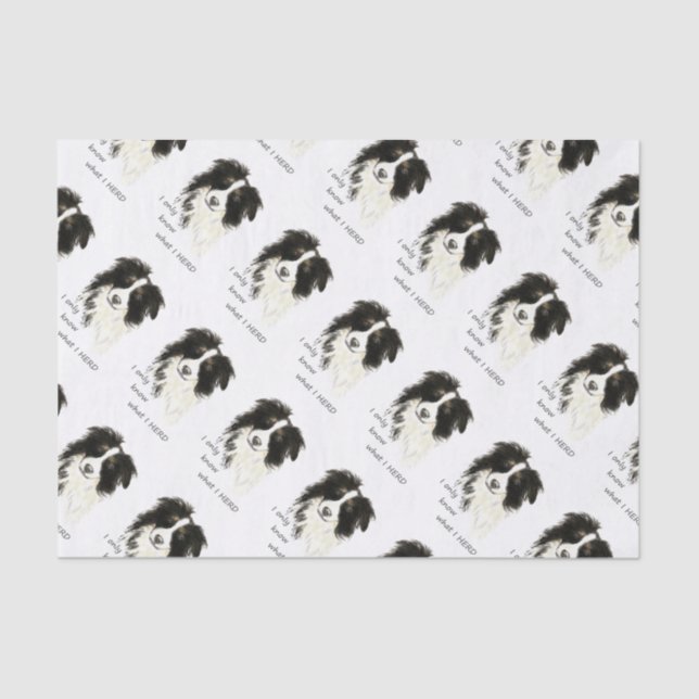 Only know what I herd Border Collie Humour Quote Tissue Paper (Front)