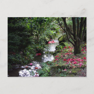 Only One Thing Missing Postcard