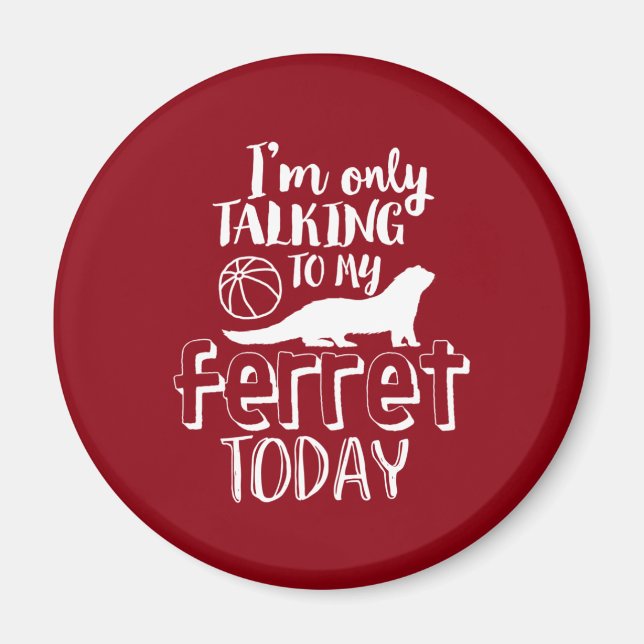 Only Talking To My Ferret Today Funny Animal Lover Magnet (Front)