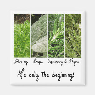 Only the Beginning Magnet