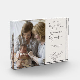 Only the Best Moms Get Promoted to Grandma Blush Photo Block