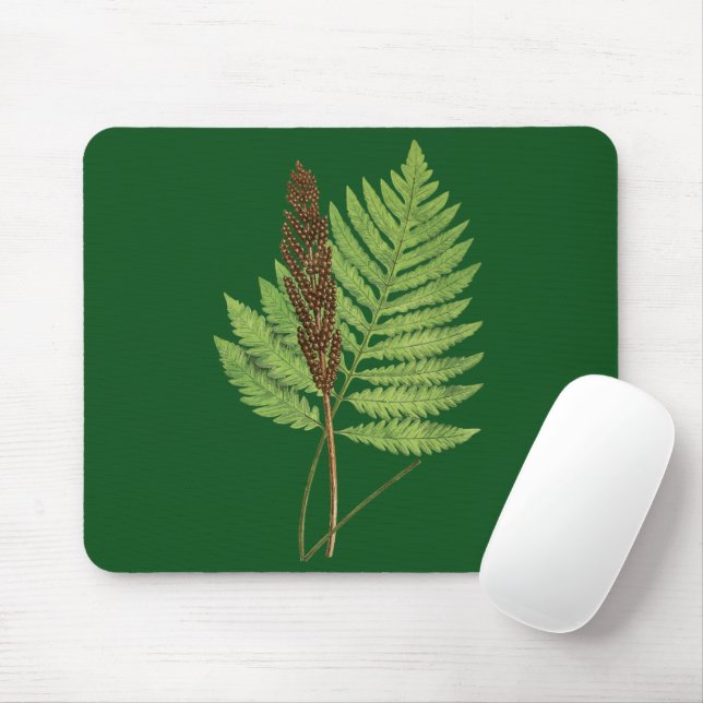 Onoclea Sensibilis (Sensitive Fern) fern leaf Mouse Mat (With Mouse)
