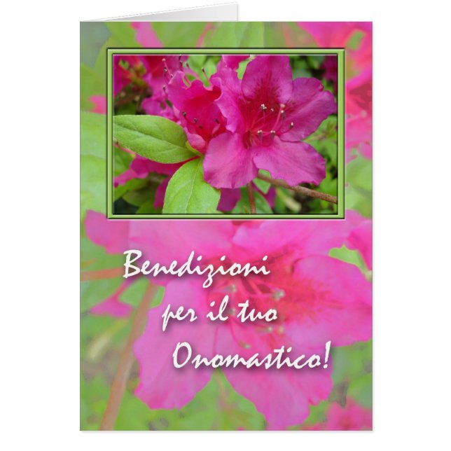 Onomastico, Name Day in Italian, Azaleas (Front)