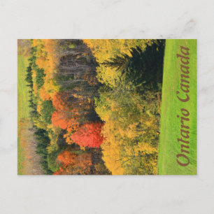 Ontario Canada Postcard