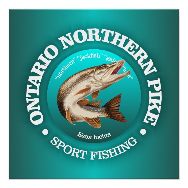 Ontario Pike Fishing Poster (Front)