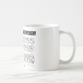 Ontogeny Recapitulates Phylogeny (Biology) Coffee Mug
