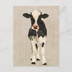 Onyx & Ivory Cow Postcard