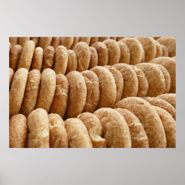 Oodles of Snickerdoodles Poster (Front)