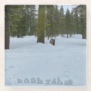Oooh Tahoe Glass Coaster