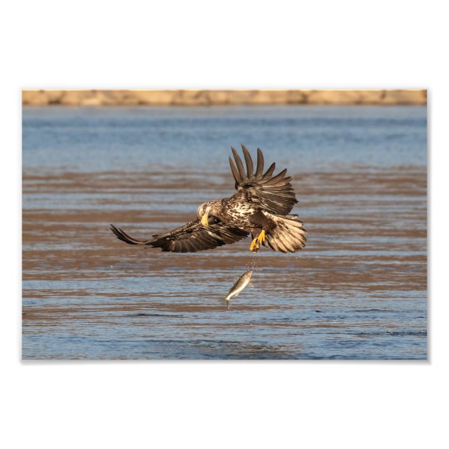 Oops, Dropped It. Photo Print (Front)