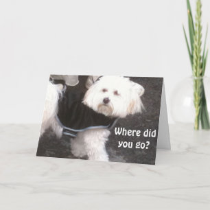 OOPS, FORGOT YOUR BIRTHDAY CARD