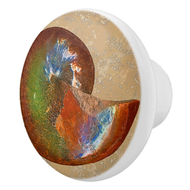 Opalised Sphenodiscus Lenticularis Ammonite Knobs (Right)
