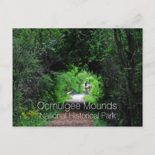 Opelofa Trail, Ocmulgee Mounds, GA Postcard