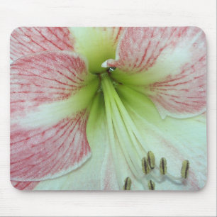 Open Amaryllis Apple Blossom Mouse Mat