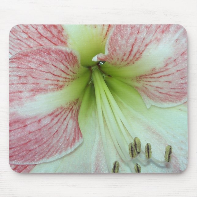 Open Amaryllis Apple Blossom Mouse Mat (Front)