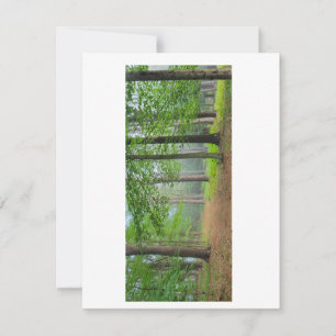 Open Forest Thank You Card
