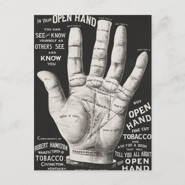 Open hand, palm reading postcard (Front)
