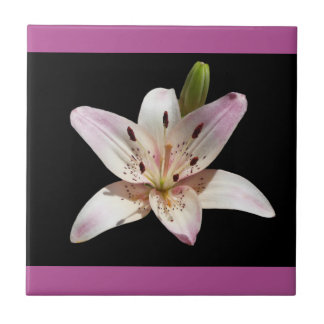 Open Lily Decorative Tile