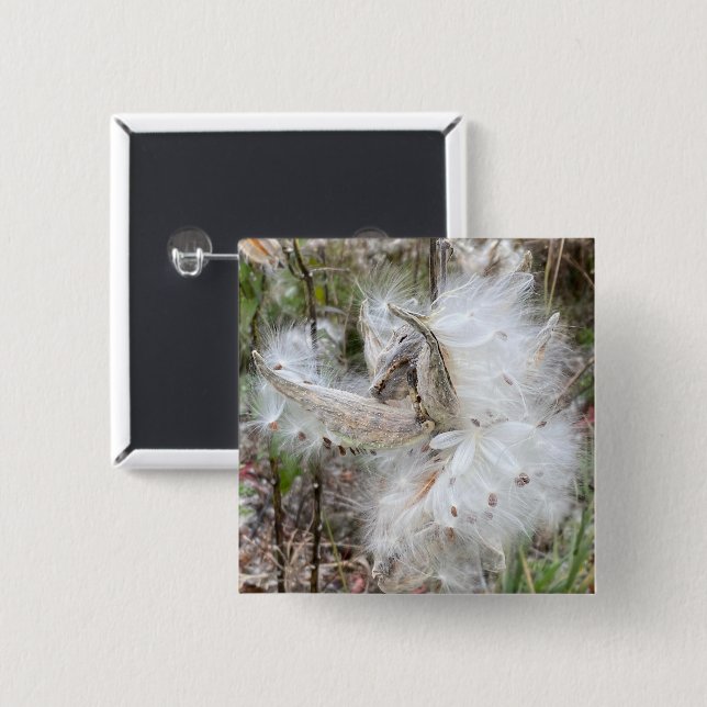 Open Milkweed Pods | Seeds with Silk | 15 Cm Square Badge (Front & Back)