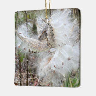Open Milkweed Pods   Seeds with Silk   Ceramic Ornament