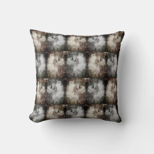 Open Milkweed Pods   Seeds with Silk   Filters Cushion