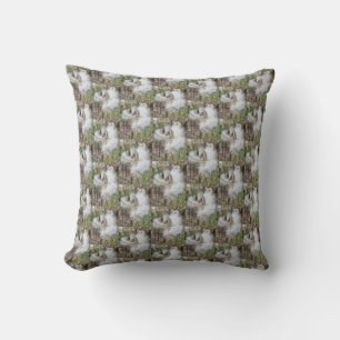 Open Milkweed Pods   Seeds with Silk   Half Drop Cushion