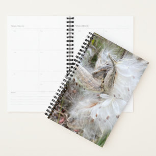 Open Milkweed Pods Seeds with Silk Planner