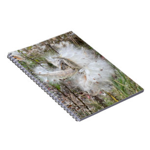 Open Milkweed Pods Seeds with Silk Spiral Notebook