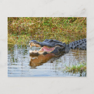 Open Mouth Postcard