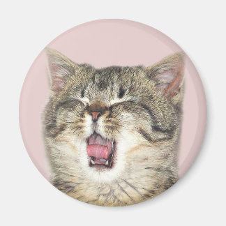 Open mouthed kitten magnet