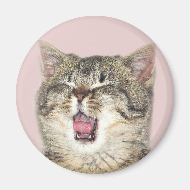 Open mouthed kitten magnet (Front)