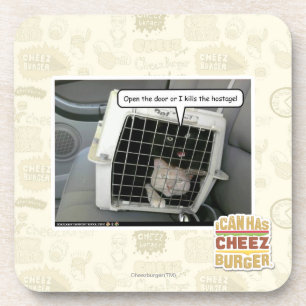 Open the door coaster
