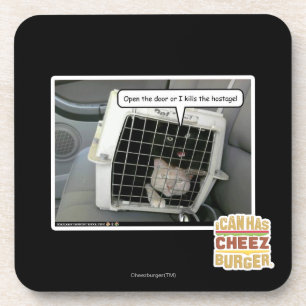 Open the door coaster