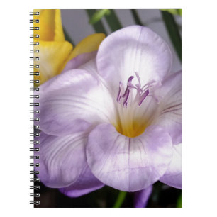 open violet freesia notebook