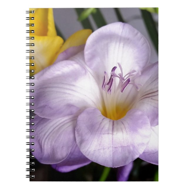 open violet freesia notebook (Front)