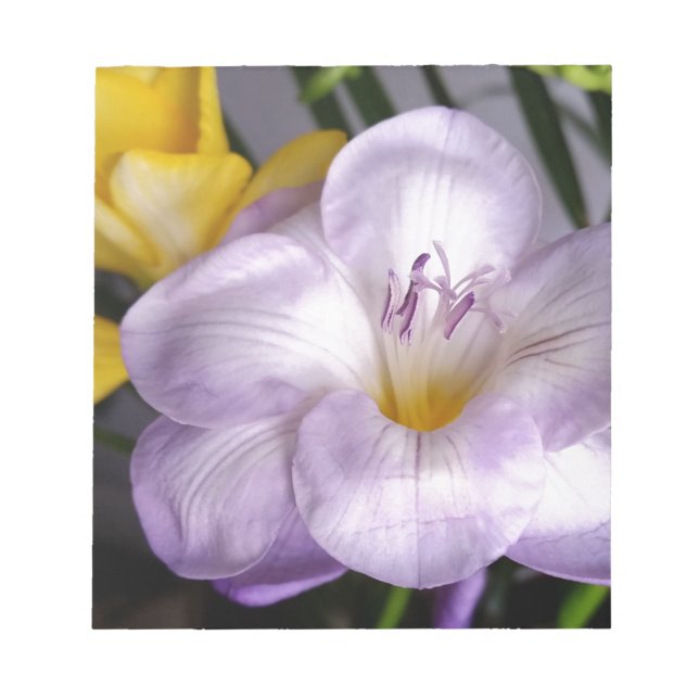 open violet freesia notepad (Front)